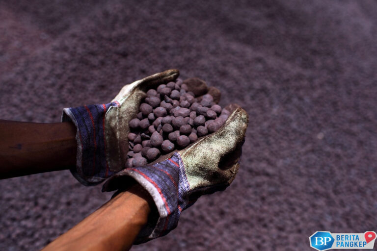 diminta-as-ini-daftar-lengkap-mineral-kritis-yang-ada-di-ri