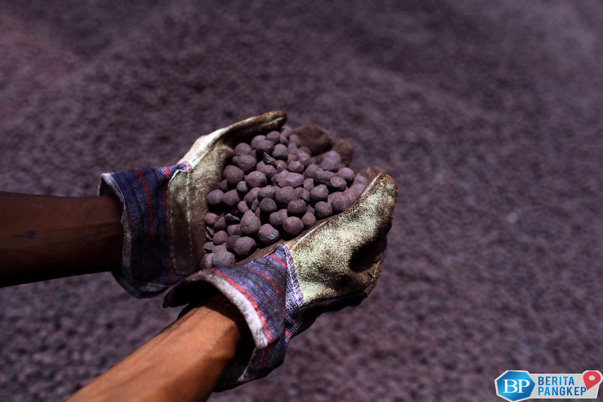 diminta-as-ini-daftar-lengkap-mineral-kritis-yang-ada-di-ri