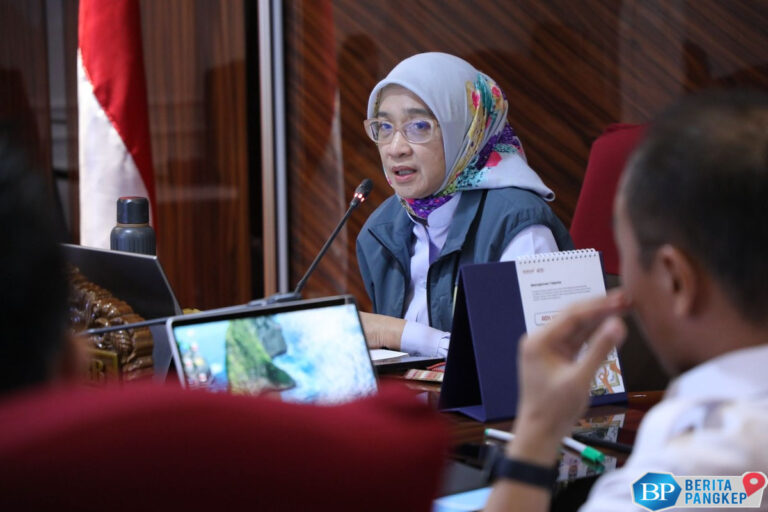 evaluasi-jabatan-pns-daerah-tak-perlu-persetujuan-menpanrb-lagi