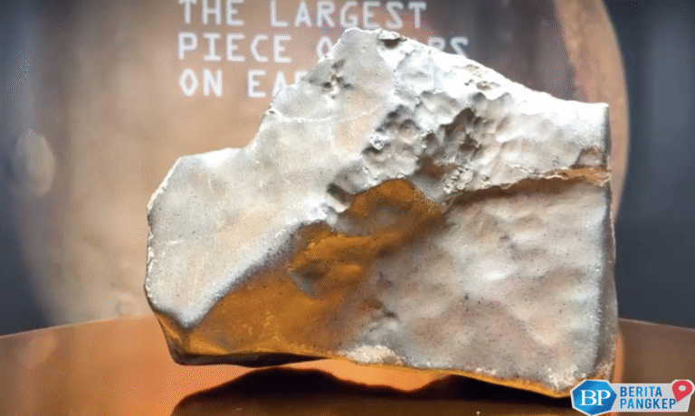 gila-batu-dari-mars-ini-laku-rp-864-miliar