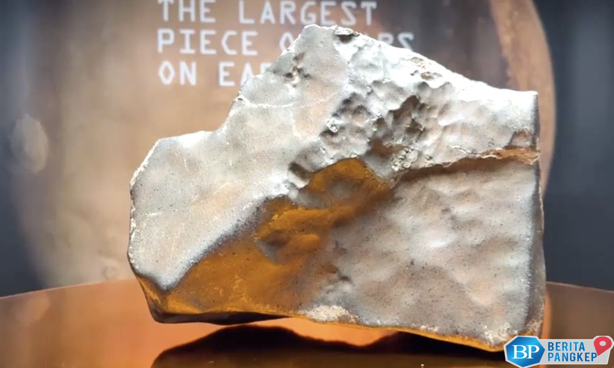 gila-batu-dari-mars-ini-laku-rp-864-miliar