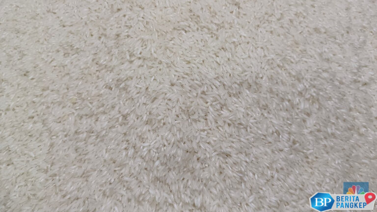 harga-gabah-ugal-ugalan-pemerintah-bakal-naikkan-het-beras-medium