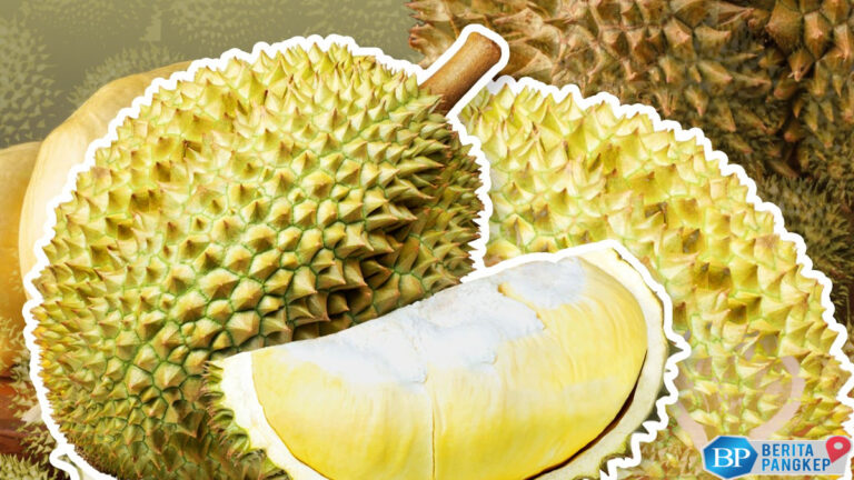 hindari-6-konsumsi-makanan-ini-bersama-dunia-bisa-jadi-racun
