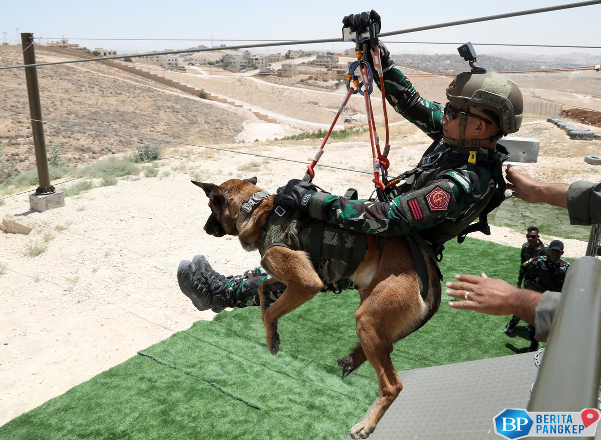 intip-pelatihan-modern-prajurit-anjing-k9-nasional-milik-yordania