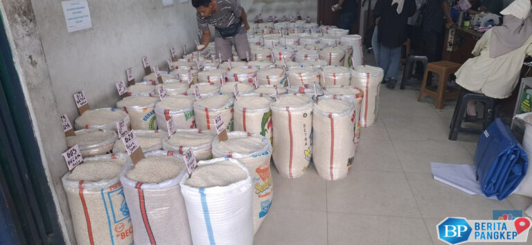 istana-warning-pemda-harus-punya-cadangan-beras-daerah