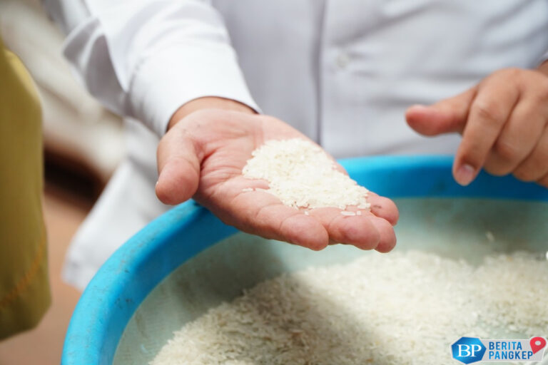 kemendag-perintahkan-ritel-modern-tarik-beras-oplosan-dari-peredaran