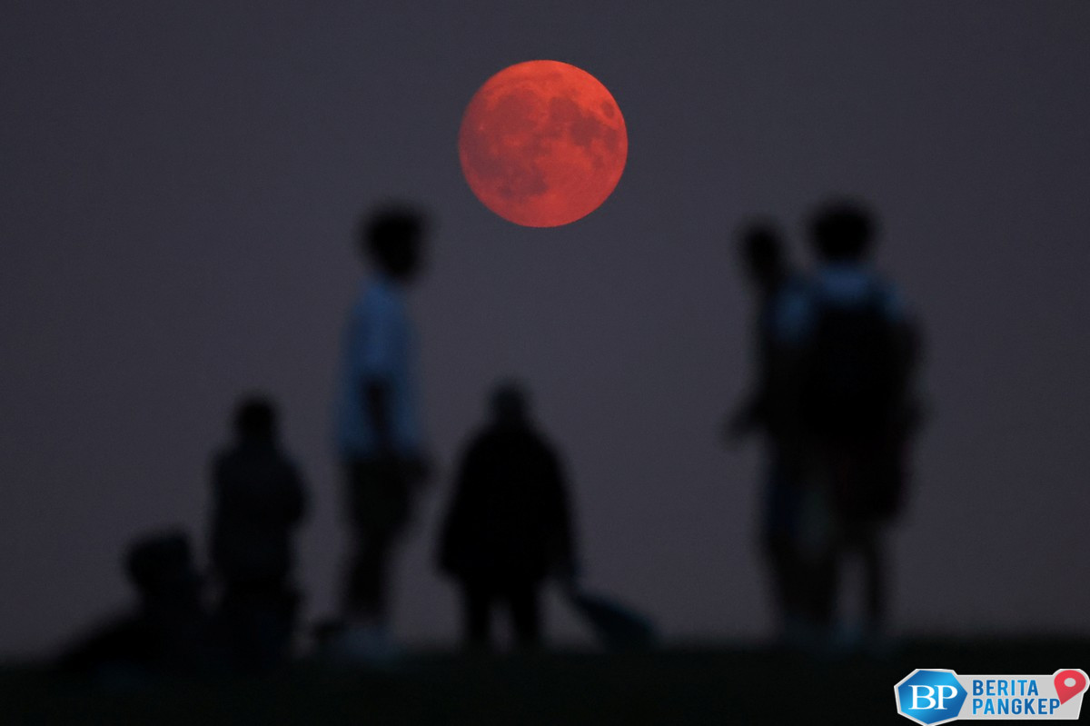 kemiskinan-hantui-inggris-anak-anak-hidup-melarat-diserang-tikus