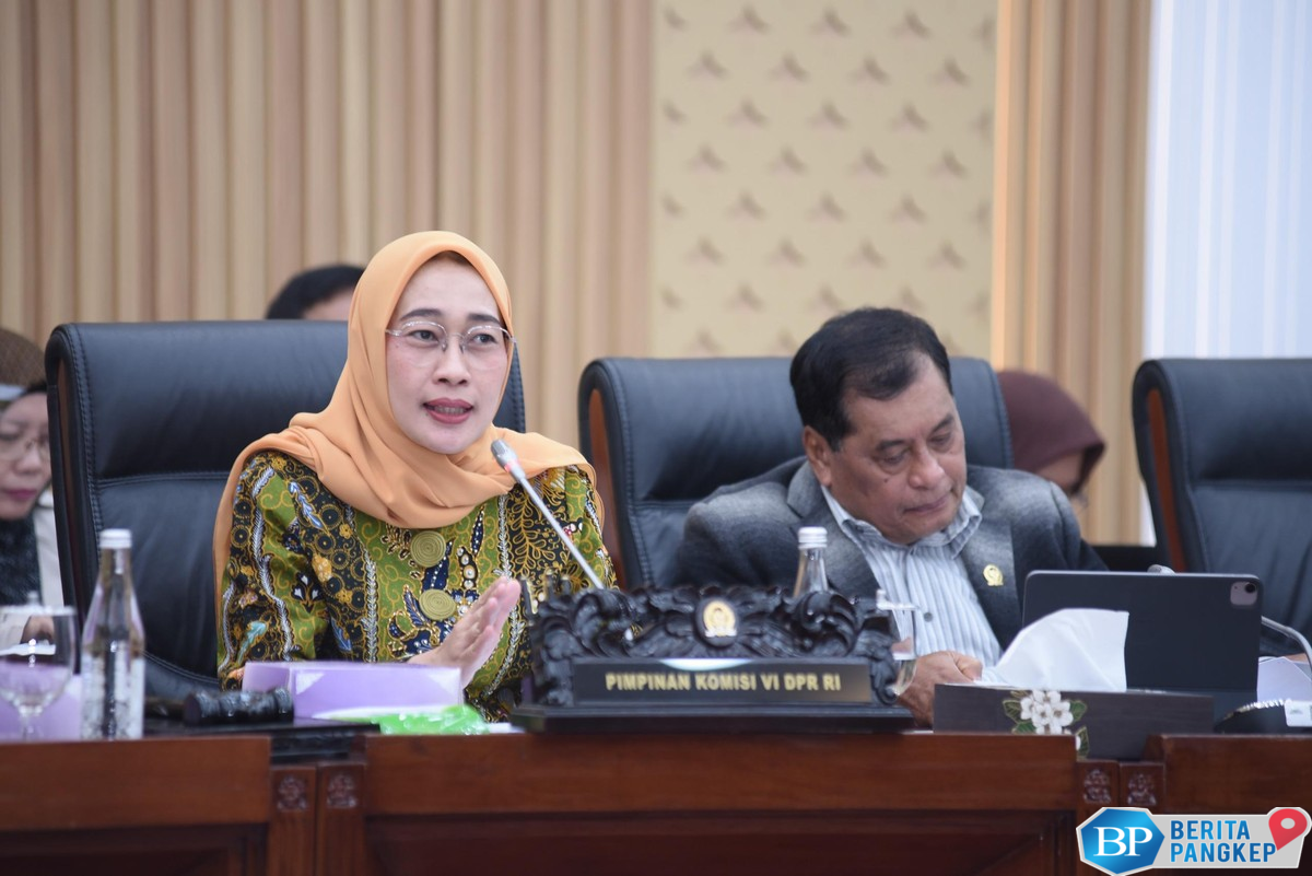 ketua-komisi-vi-dpr-apresiasi-kiprah-bni-dorong-inklusi-keuangan