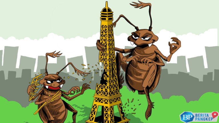 menggelikan-ini-tanda-kutu-busuk-ada-di-rumah-anda