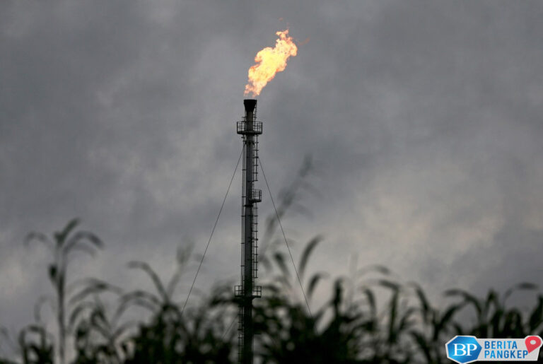 monetisasi-flare-gas-untuk-transisi-energi