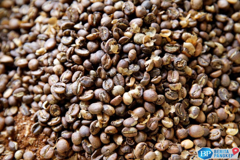 perantau-china-ini-jualan-kopi-menjelma-jadi-orang-terkaya-ri