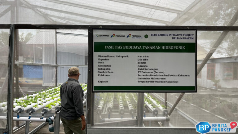 pertamina-foundation-jaga-lingkungan-lewat-program-hutan-lestari