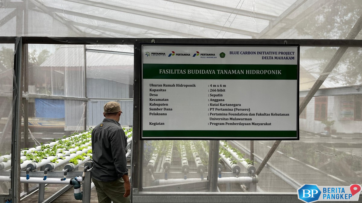 pertamina-foundation-jaga-lingkungan-lewat-program-hutan-lestari