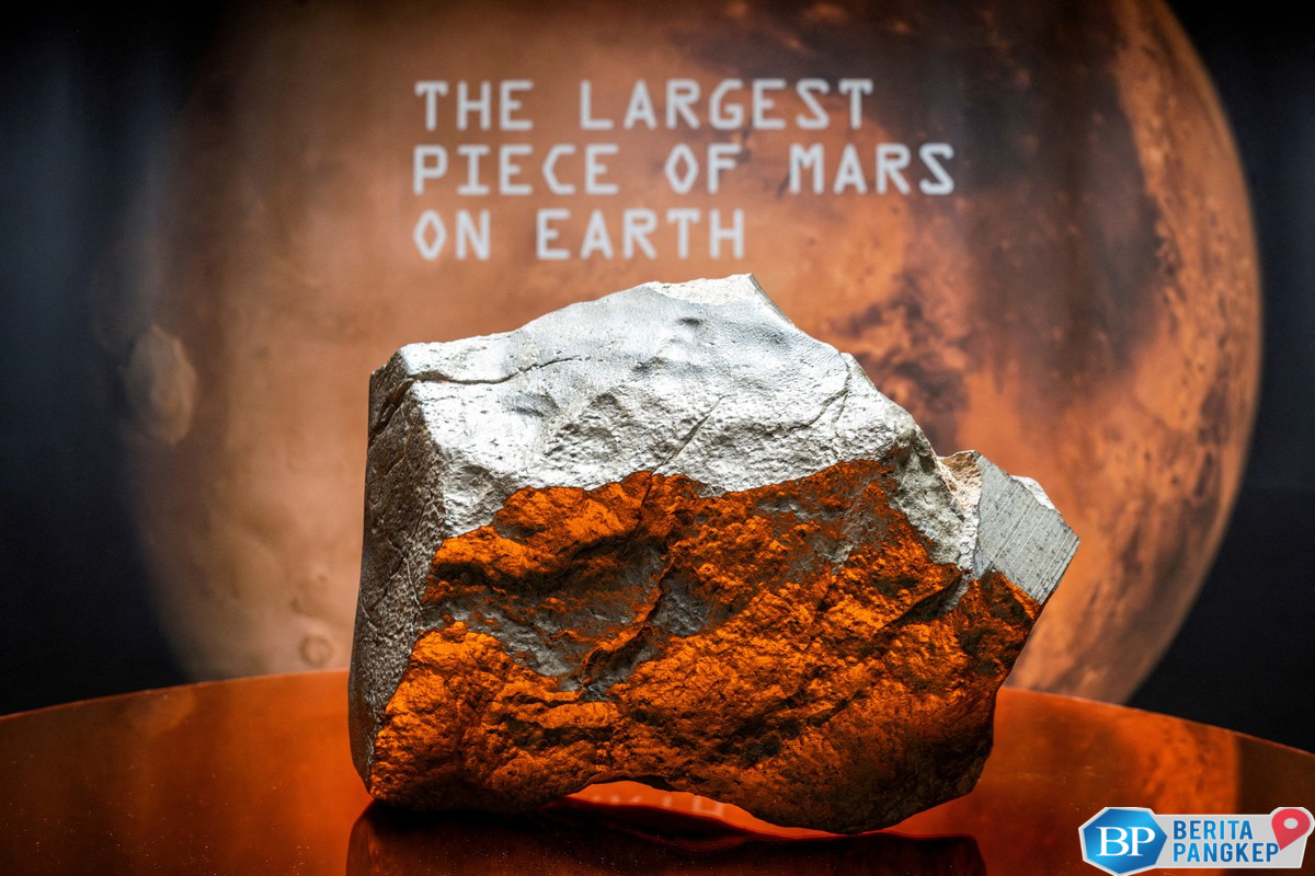 potret-batu-raksasa-dari-planet-mars-laku-terjual-rp86-miliar