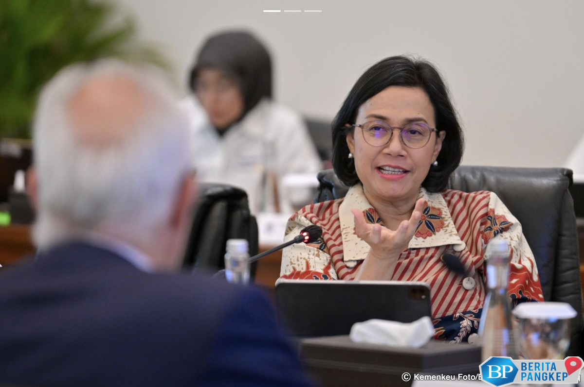 sri-mulyani-tanpa-blokir-anggaran-defisit-apbn-2025-bisa-bengkak
