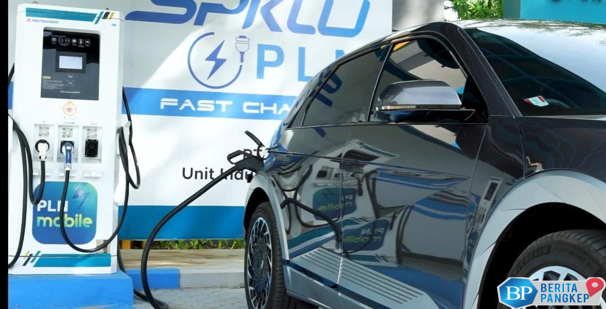 tak-terduga-bukan-harga-ini-alasan-utama-orang-ri-beli-mobil-listrik