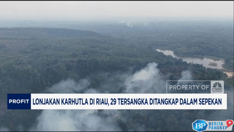 video-1000-hektar-lahan-terbakar-di-riau-menteri-lh-turun-tangan