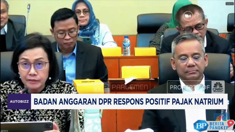 video-badan-anggaran-dpr-respons-positif-pajak-natrium