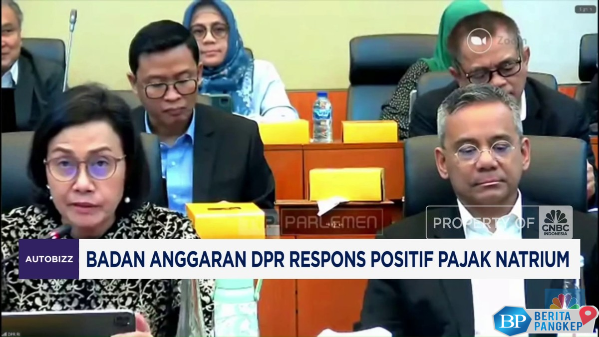 video-badan-anggaran-dpr-respons-positif-pajak-natrium