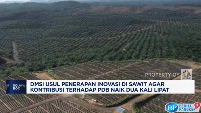 video-bikin-sumbangan-sawit-ke-pdb-naik-2x-lipat-dmsi-usul-hal-ini