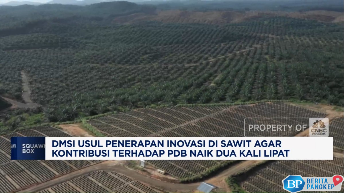 video-bikin-sumbangan-sawit-ke-pdb-naik-2x-lipat-dmsi-usul-hal-ini