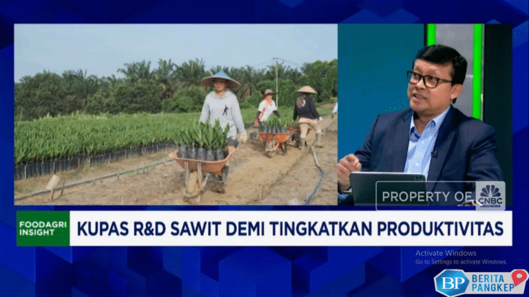 video-dana-riset-minyak-nabati-pesaing-sawit-rp-25-t-ri-gimana