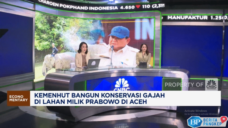 video-main-padel-kena-pajak-10-wajib-militer-bagi-wanita-denmark