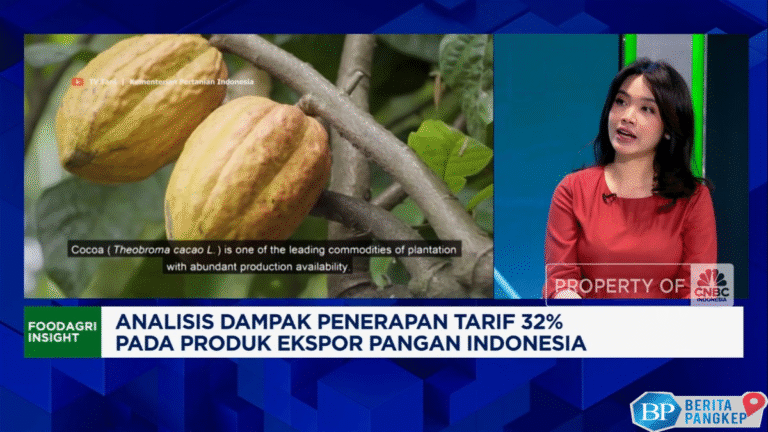 video-nasib-ekspor-pangan-ri-diganjal-trump-lawan-thailand-cs