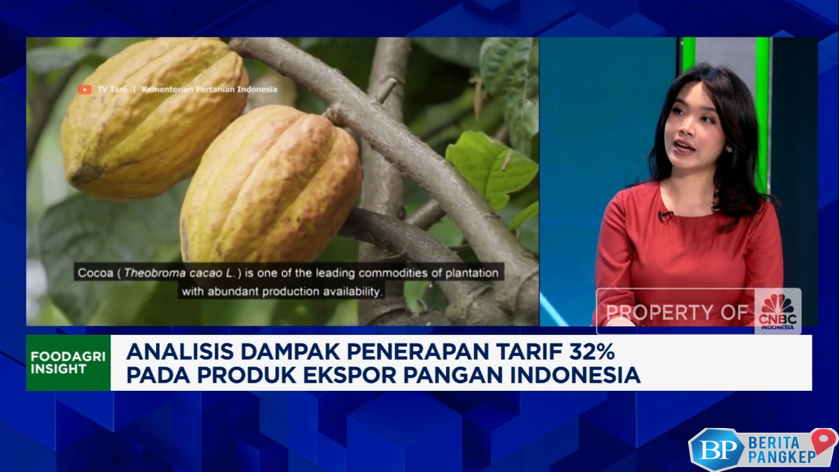 video-nasib-ekspor-pangan-ri-diganjal-trump-lawan-thailand-cs