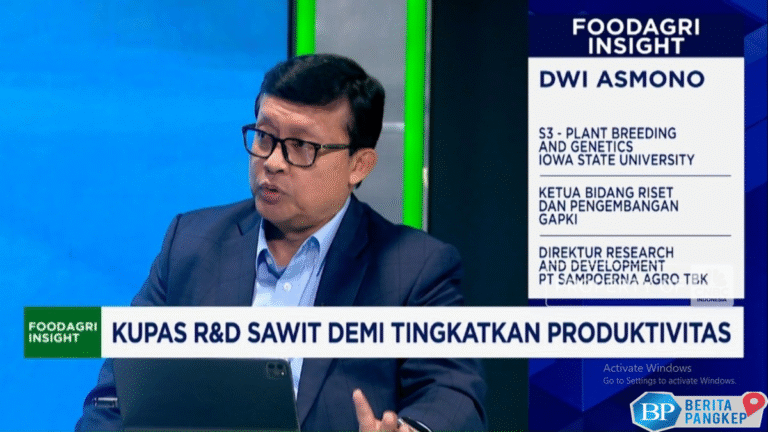 video-produksi-sawit-stagnan-riset-bibit-pembasmi-hama-kian-mendesak