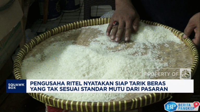 video-ramai-beras-oplosan-bos-ritel-siap-tarik-yang-tak-sesuai-mutu