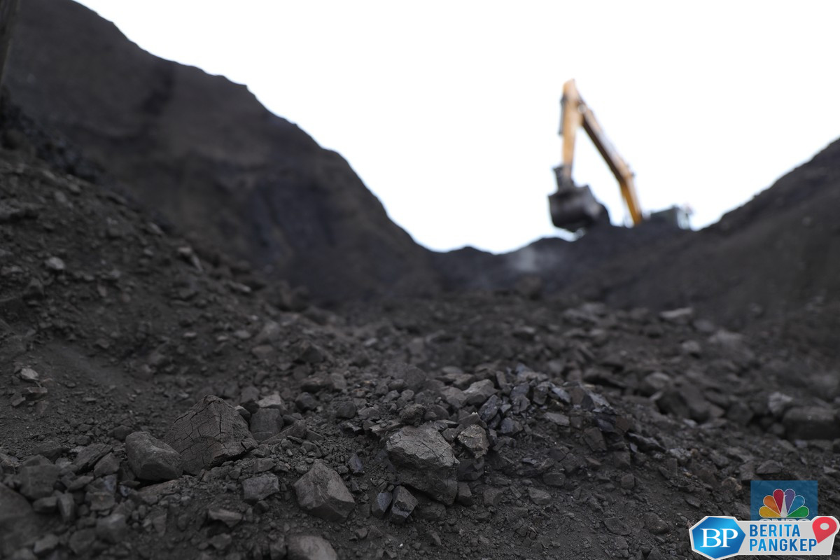 aneh-harga-batu-bara-terkubur-6-hari-meski-sudah-ditolong-china