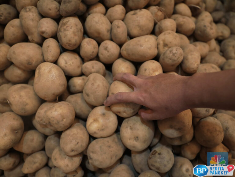 asal-usul-kentang-ternyata-dari-buah-ini-ahli-china-ungkap-fakta-baru