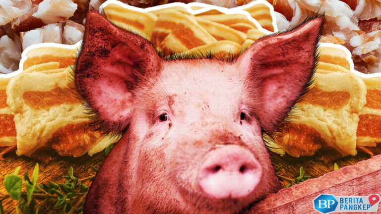 babi-bikin-pening-vietnam-satu-negara-pusing-7-keliling