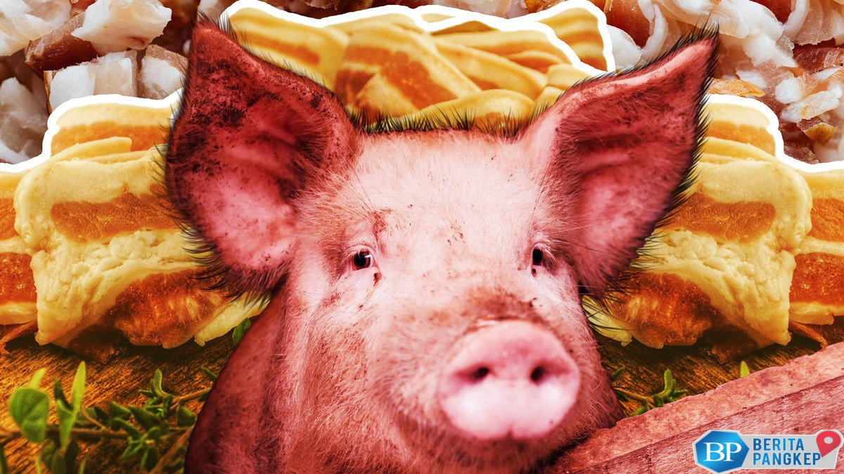 babi-bikin-pening-vietnam-satu-negara-pusing-7-keliling