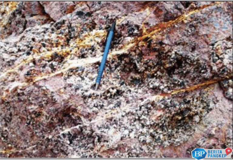 bahlil-siapkan-ladang-harta-karun-kritis-ri-buat-digali-as