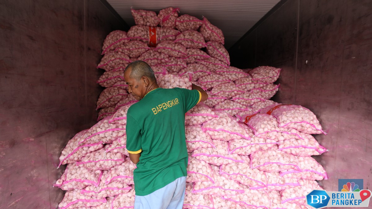 begini-cara-bawang-putih-china-kuasai-ri-petani-mati-tutup-lahan