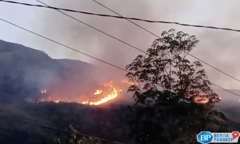 bmkg-peringatkan-wilayah-ri-siap-siaga-hujan-lebat-vs-kebakaran-hutan