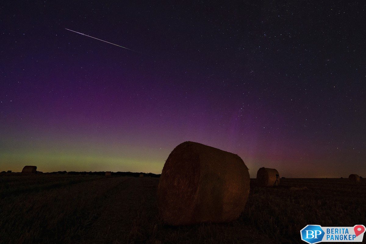 bukti-baru-orang-china-lebih-pintar-dari-ahli-eropa-dunia-geger