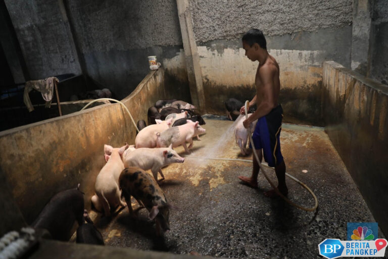 emiten-ini-terancam-gagal-investasi-rp-10-t-di-jepara-kenapa