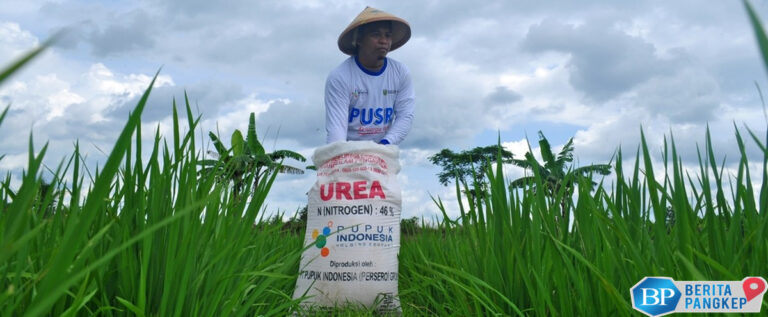hidrogen-untuk-pupuk-inovasi-ketahanan-pangan-yang-baru