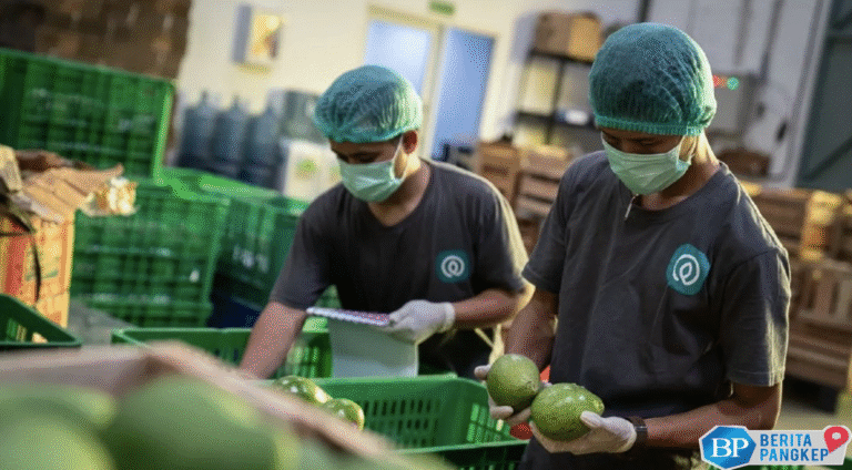 mdi-ventures-terseret-kasus-tanihub-manajemen-telkom-buka-suara