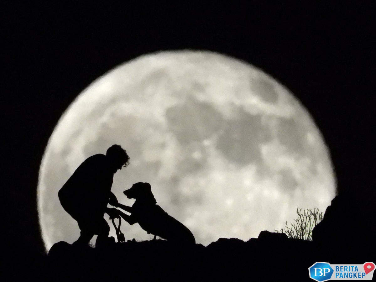 melihat-keindaan-bulan-purnama-agustus-sturgeon-di-belahan-dunia