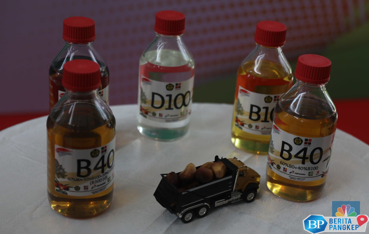 merauke-bakal-punya-pabrik-biodiesel-baru-di-tahun-2027