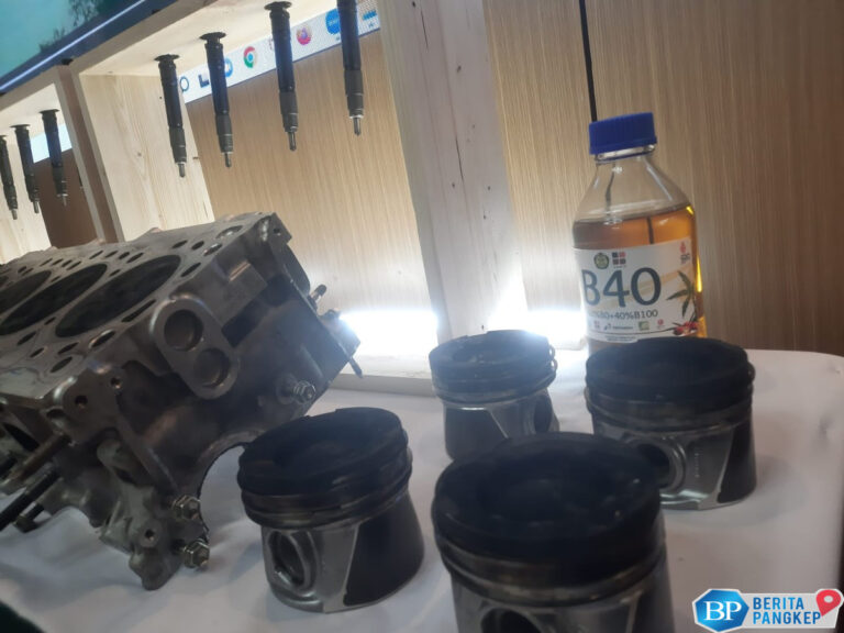 pemerintah-siapkan-pabrik-biodiesel-baru-di-merauke