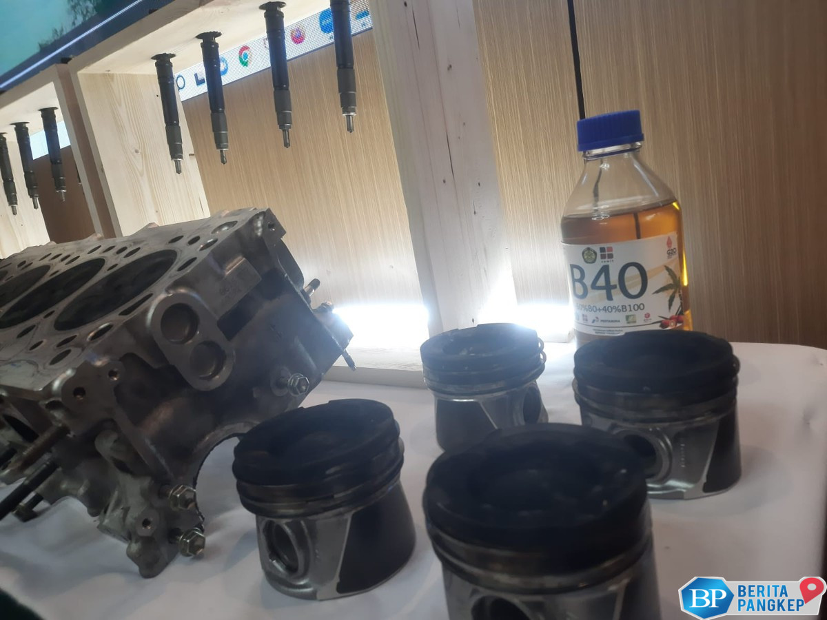 pemerintah-siapkan-pabrik-biodiesel-baru-di-merauke