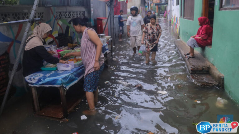 peringatan-bmkg-hujan-lebat-dan-angin-kencang-hantam-ri-ini-lokasinya