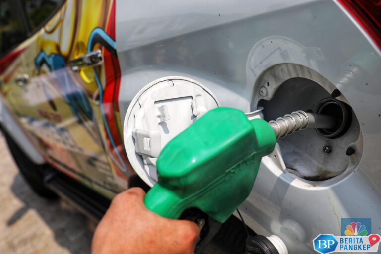 ri-bakal-bangun-pabrik-biodiesel-di-papua-ditarget-tuntas-2027