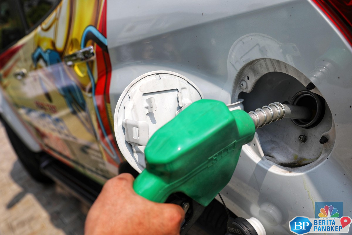 ri-bakal-bangun-pabrik-biodiesel-di-papua-ditarget-tuntas-2027