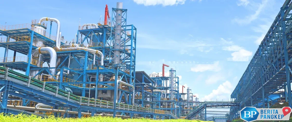 satu-lagi-investor-china-bakal-investasi-di-proyek-baterai-rp-131-t-ri